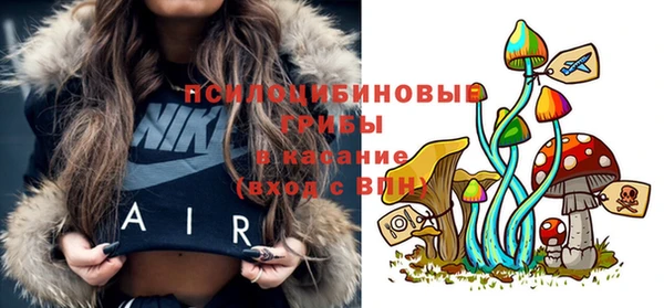 стаф Беломорск