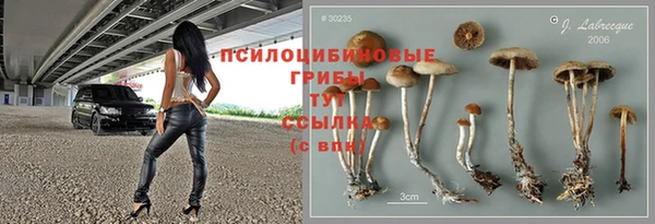 стаф Беломорск