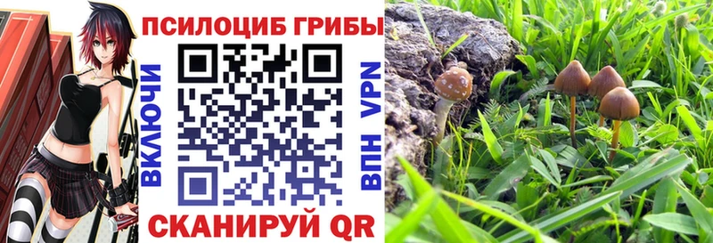 Псилоцибиновые грибы мухоморы  Купить  Лениногорск 